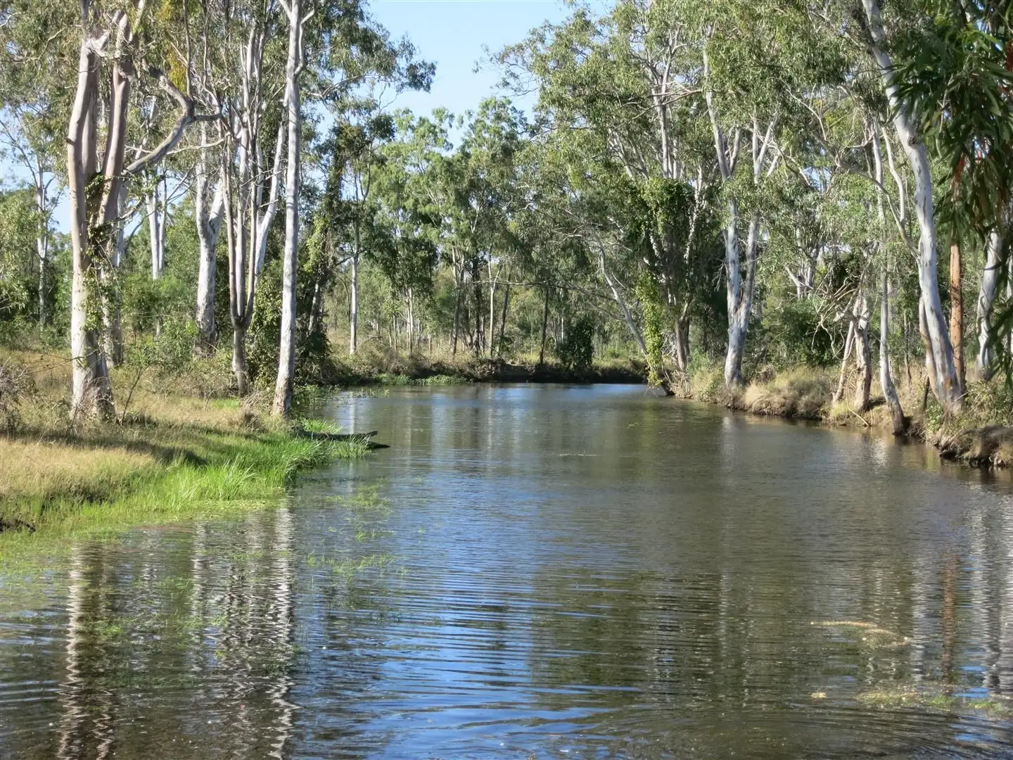 Main view of Homely rural property listing, 165 Ridgelands Road, Ridgelands QLD 4702