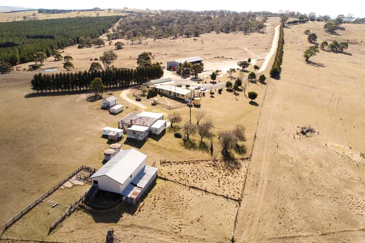 Fifth view of Homely acreageSemiRural listing, 343 Gunningrach Road, Bombala NSW 2632