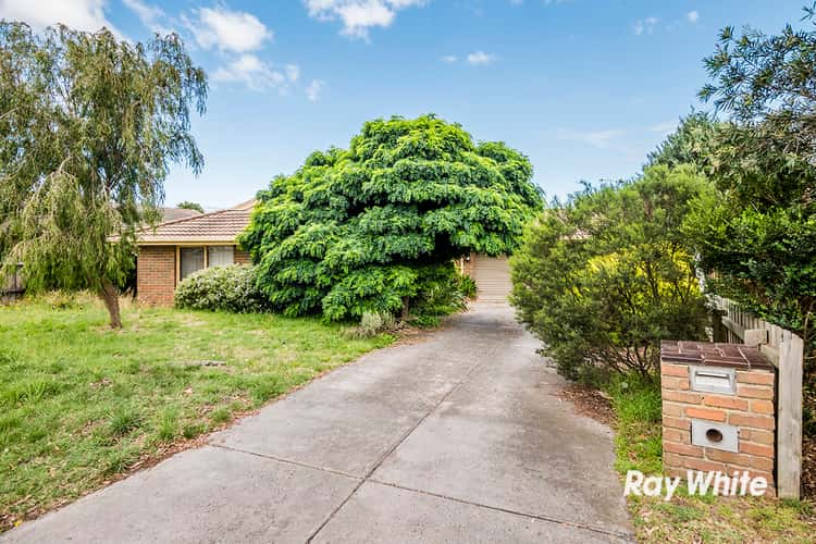 Main view of Homely house listing, 3 Walnut Court, Cranbourne North VIC 3977