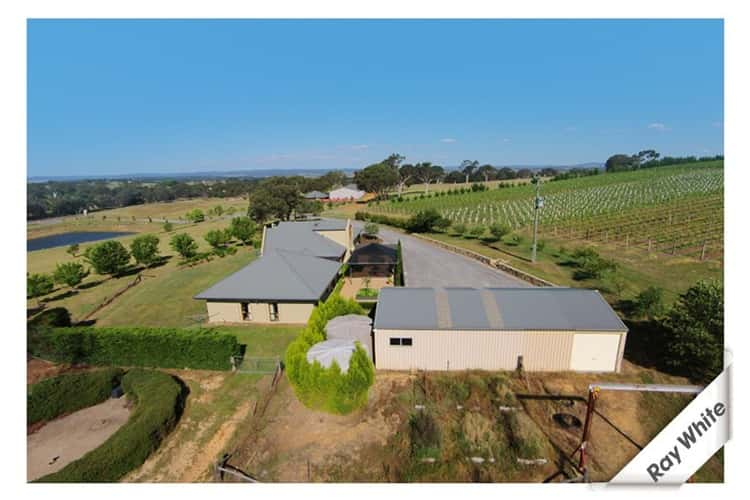 Seventh view of Homely acreageSemiRural listing, 1692 Murrumbateman Road, Gundaroo NSW 2620