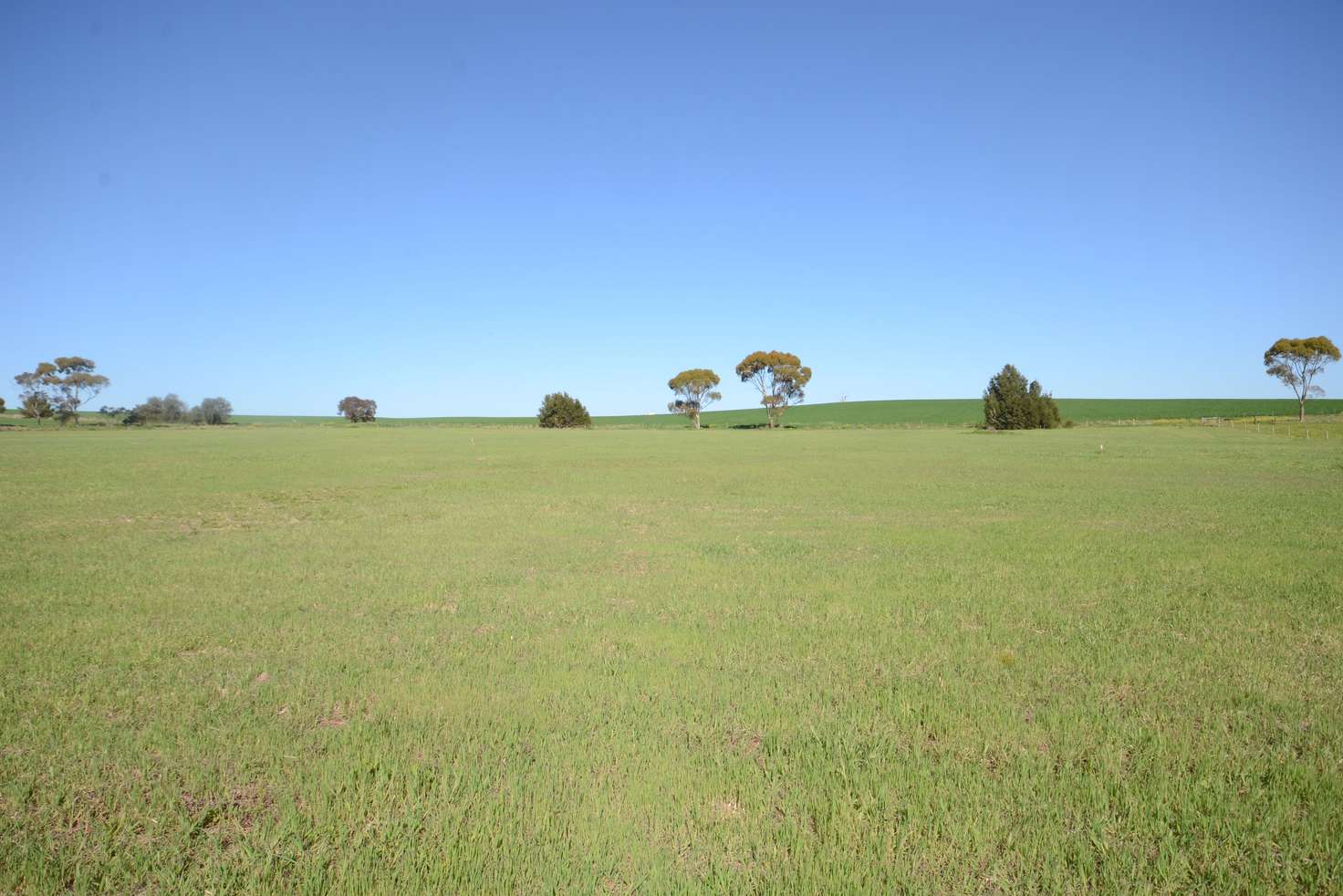 Main view of Homely residentialLand listing, Lot 92 Saddleworth Road, Auburn SA 5451