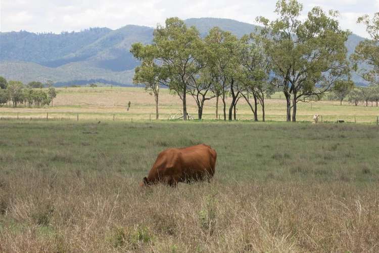 Main view of Homely ruralOther listing, 71450 "Ballendown" Bruce Highway, Marlborough QLD 4705