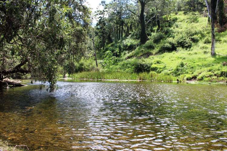 Second view of Homely ruralOther listing, 346 Cressbrook Creek Road, Biarra QLD 4313