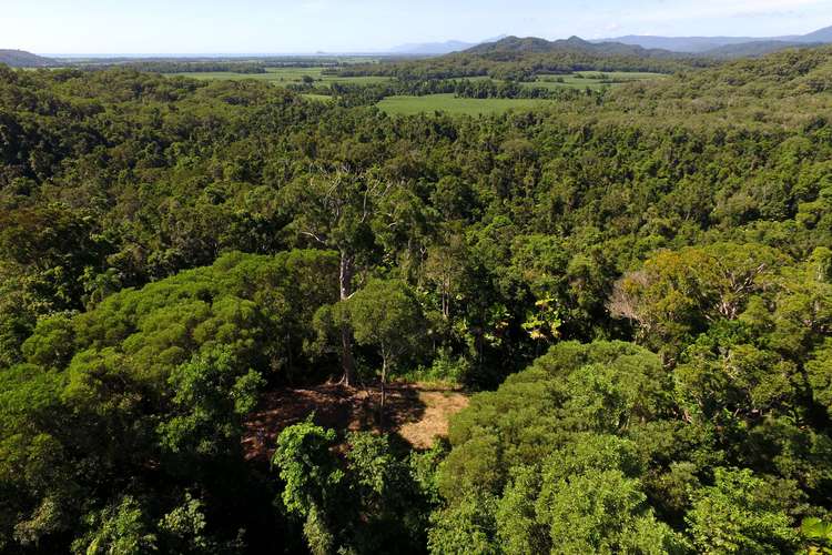 Main view of Homely residentialLand listing, Lot 3 Kahana Road, Whyanbeel QLD 4873