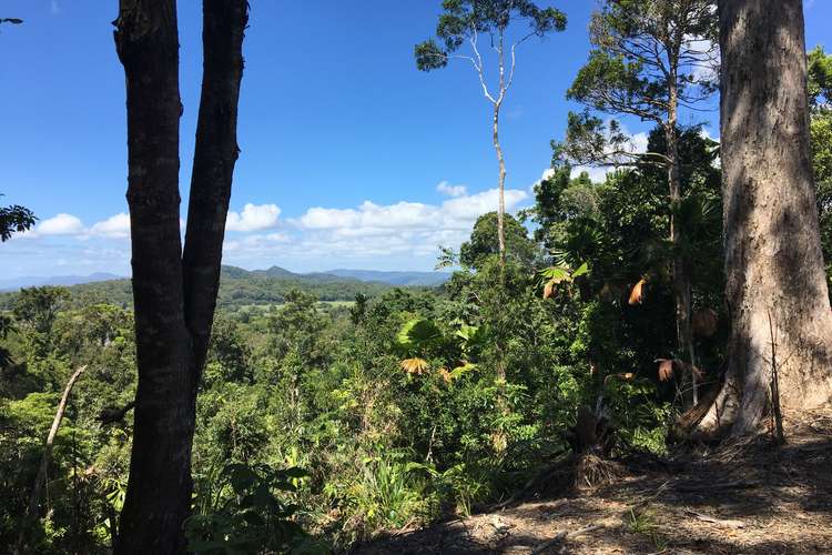 Third view of Homely residentialLand listing, Lot 3 Kahana Road, Whyanbeel QLD 4873