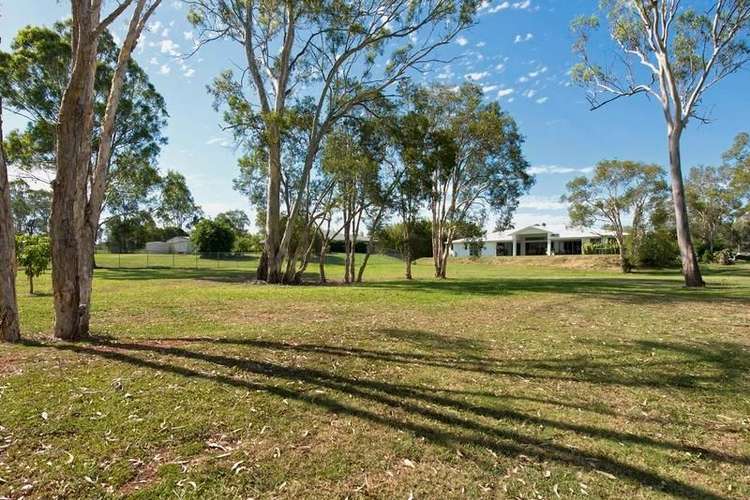 Second view of Homely acreageSemiRural listing, 2799 Old Cleveland Road, Chandler QLD 4155