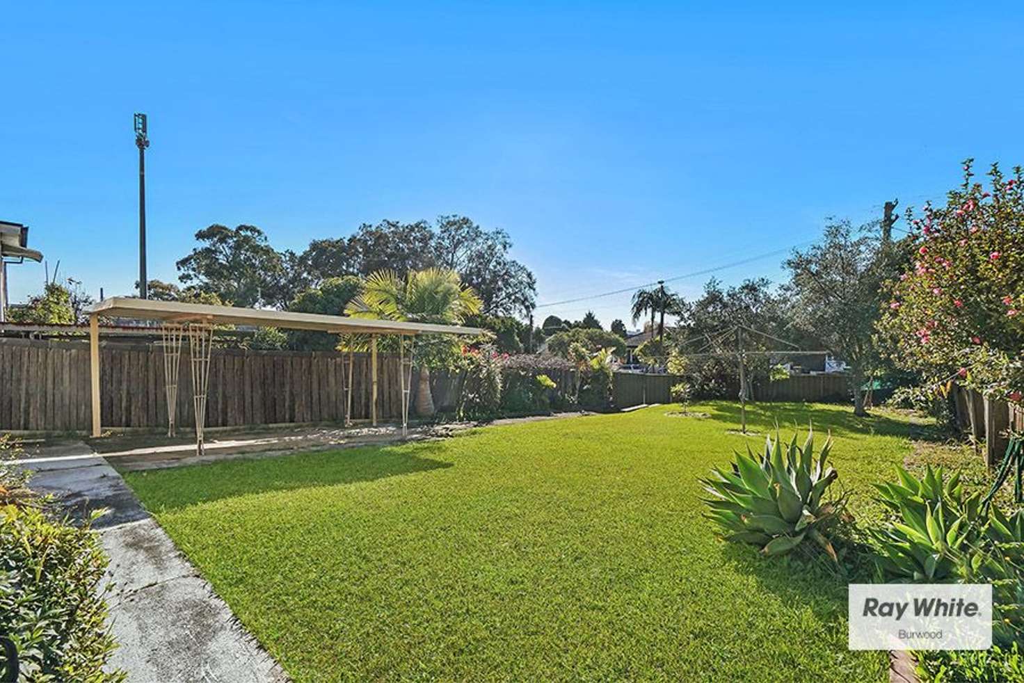 Main view of Homely house listing, 12 Nicholas Avenue, Campsie NSW 2194