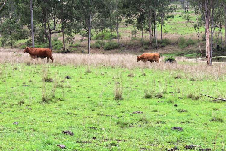 Third view of Homely livestock listing, Lot 2 Esk Crows Nest Road, Biarra QLD 4313