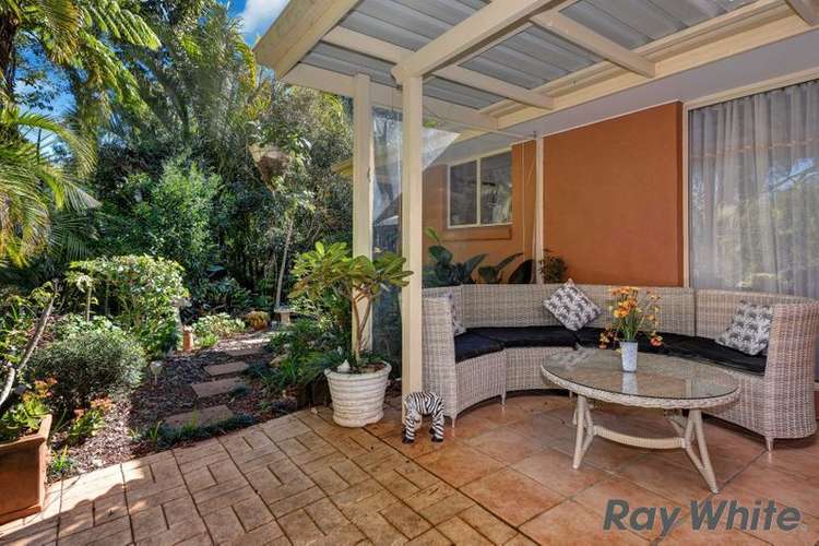 Main view of Homely house listing, 16 Cedar Grove Court, Maleny QLD 4552