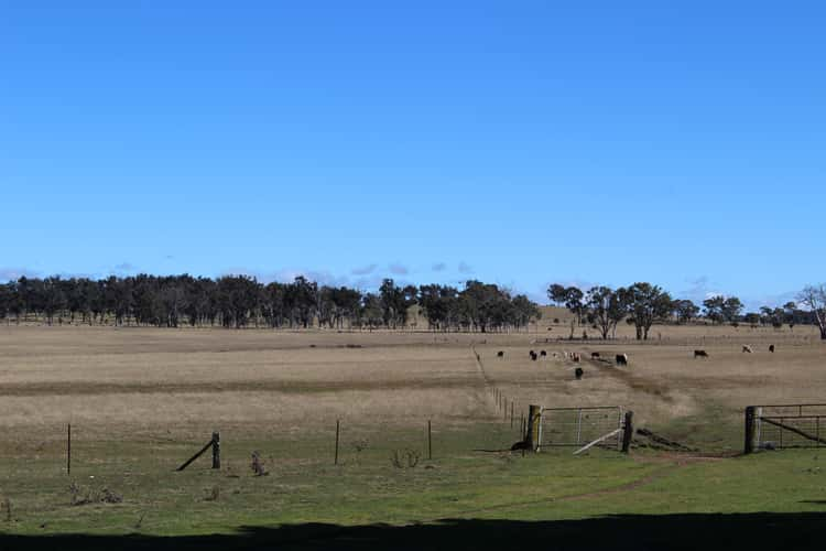 Sixth view of Homely ruralOther listing, Kenilworth 173 Lochaven Road, Armidale NSW 2350