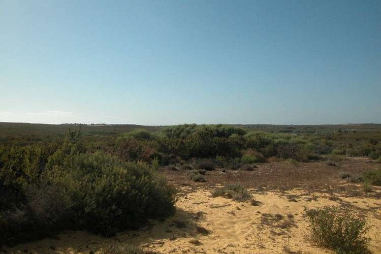 Fifth view of Homely residentialLand listing, Lot 409 Jurien Bay Vista, Jurien Bay WA 6516