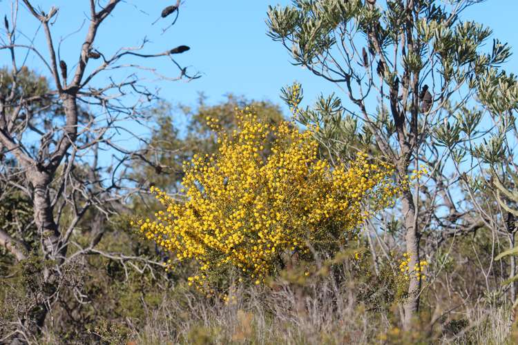 Seventh view of Homely residentialLand listing, Lot 409 Jurien Bay Vista, Jurien Bay WA 6516