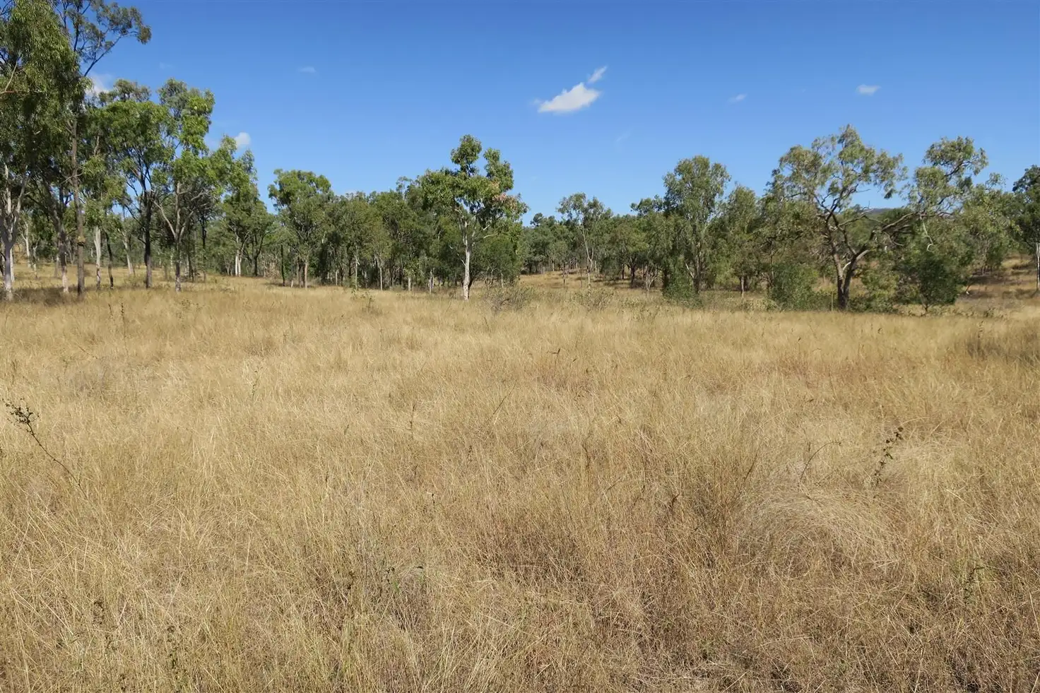 Main view of Homely rural property listing, 208 Hunter Gully Road, Morinish QLD 4702