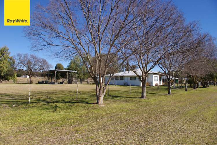 Main view of Homely house listing, 25 David Street, Ashford NSW 2361