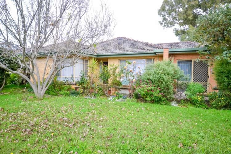 Main view of Homely house listing, 6 Raymond Avenue, Flora Hill VIC 3550