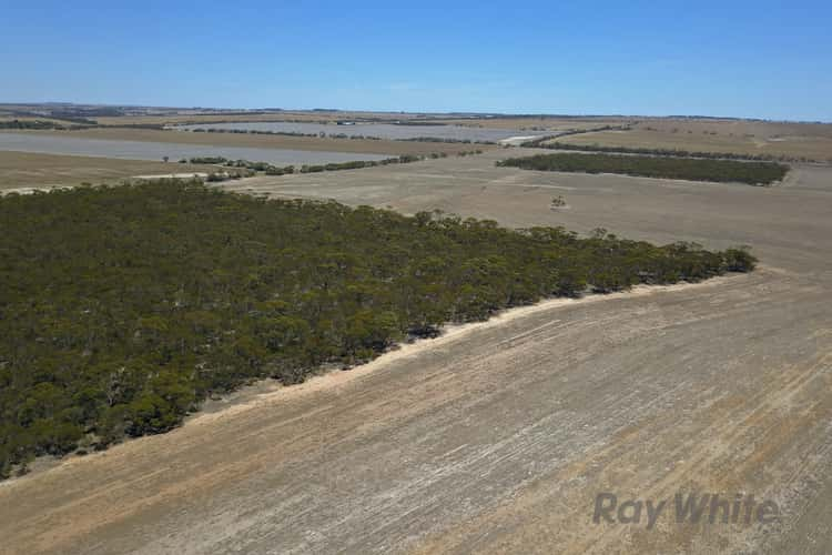 Seventh view of Homely ruralOther listing, Lot 2 Pipeline Road, Arthurton SA 5572