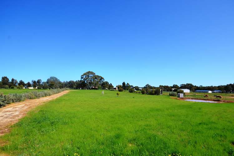 Main view of Homely residentialLand listing, 95 Raglan Street, Auburn SA 5451