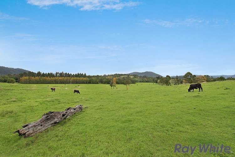Fourth view of Homely ruralOther listing, 14 Cookes Road, Conondale QLD 4552