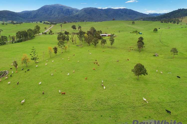 Seventh view of Homely ruralOther listing, 14 Cookes Road, Conondale QLD 4552