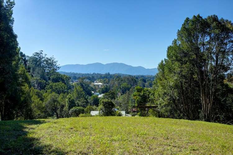 Third view of Homely ruralOther listing, 12 Dudley Street, Bellingen NSW 2454