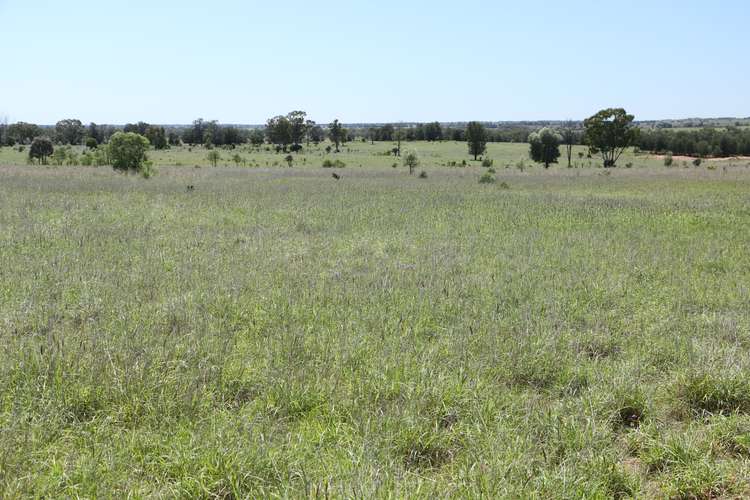 Second view of Homely ruralOther listing, 28108 CARNARVON Highway, Roma QLD 4455