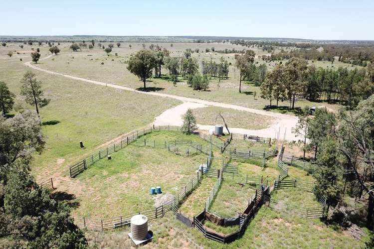 Third view of Homely ruralOther listing, 28108 CARNARVON Highway, Roma QLD 4455