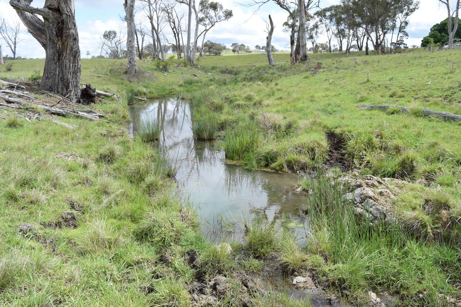 Main view of Homely ruralOther listing, 460 Donald Road, Armidale NSW 2350