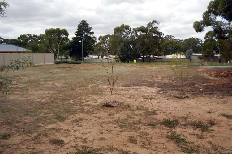 Fourth view of Homely residentialLand listing, Lot 28 Osborne Court, Bordertown SA 5268