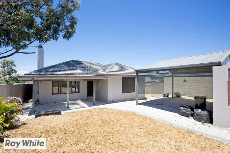 Main view of Homely house listing, 50 Walderton Avenue, Balga WA 6061