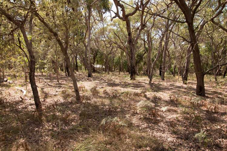 Second view of Homely residentialLand listing, Lot 36 Bloodwood Avenue, Agnes Water QLD 4677