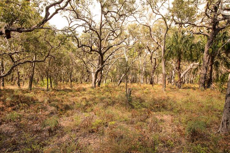 Fifth view of Homely residentialLand listing, Lot 36 Bloodwood Avenue, Agnes Water QLD 4677