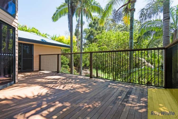 Seventh view of Homely house listing, 79 Francis Road, Bli Bli QLD 4560