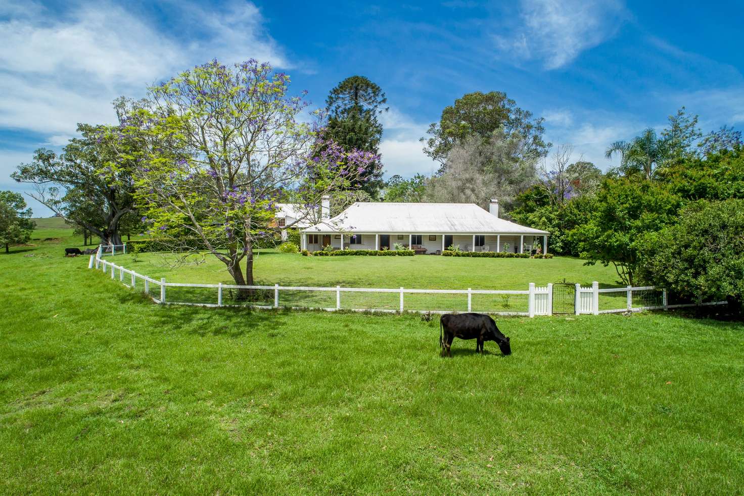 Main view of Homely ruralOther listing, 755 Dyraaba Road, Dyraaba NSW 2470