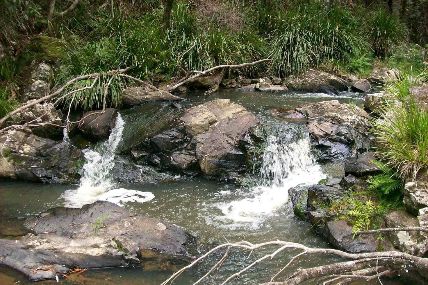 Main view of Homely ruralOther listing, 776 Lower Bielsdown Road Megan, Dorrigo NSW 2453