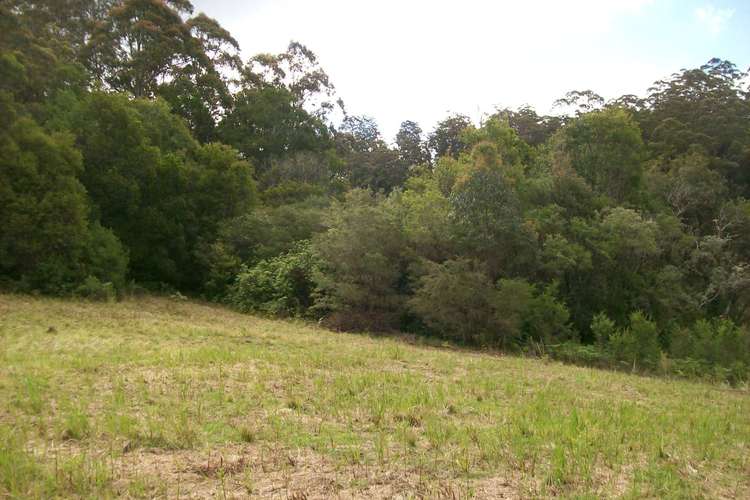 Third view of Homely ruralOther listing, 776 Lower Bielsdown Road Megan, Dorrigo NSW 2453