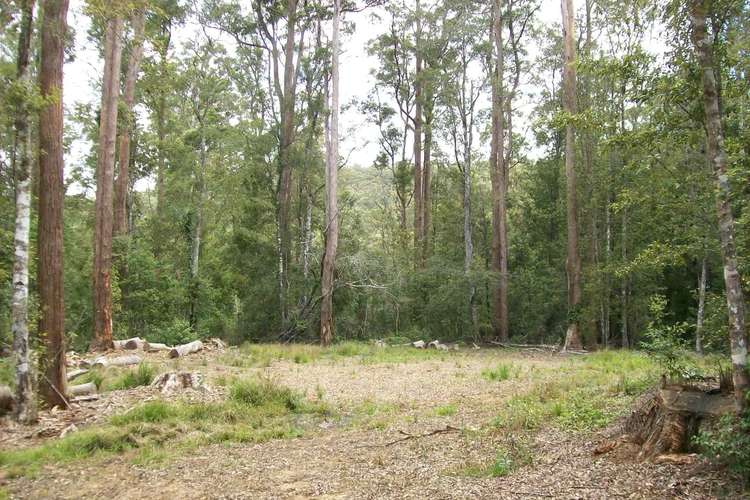 Fourth view of Homely ruralOther listing, 776 Lower Bielsdown Road Megan, Dorrigo NSW 2453