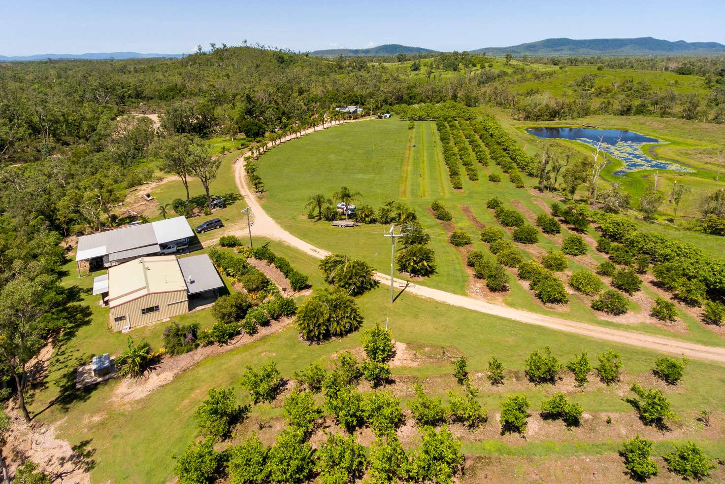 Main view of Homely ruralOther listing, 220 Staffords Road,, Bloomsbury QLD 4799