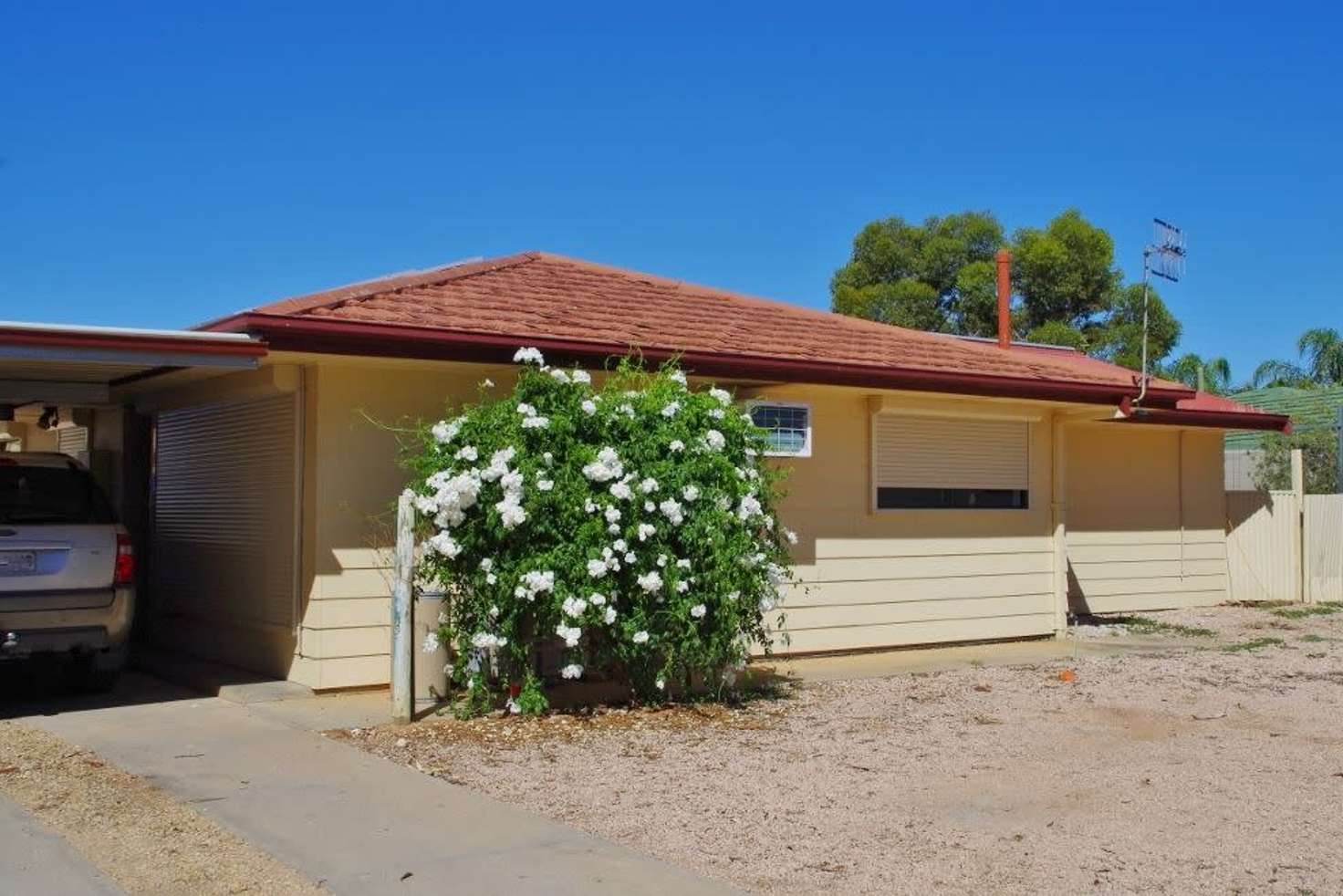 Main view of Homely house listing, 7 Showell Avenue, Renmark SA 5341