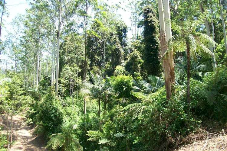 Fifth view of Homely ruralOther listing, 3566 Kalang Road Kalang, Bellingen NSW 2454