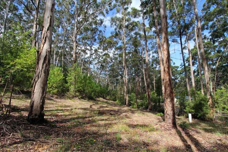 Main view of Homely residentialLand listing, Lot 209 Adams Road, Denmark WA 6333