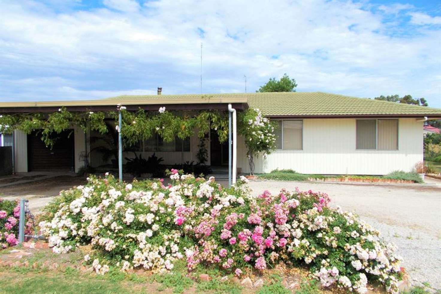 Main view of Homely house listing, 5-7 Green, Bordertown SA 5268