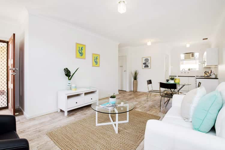 Main view of Homely unit listing, 5/73 Coombe Road, Allenby Gardens SA 5009