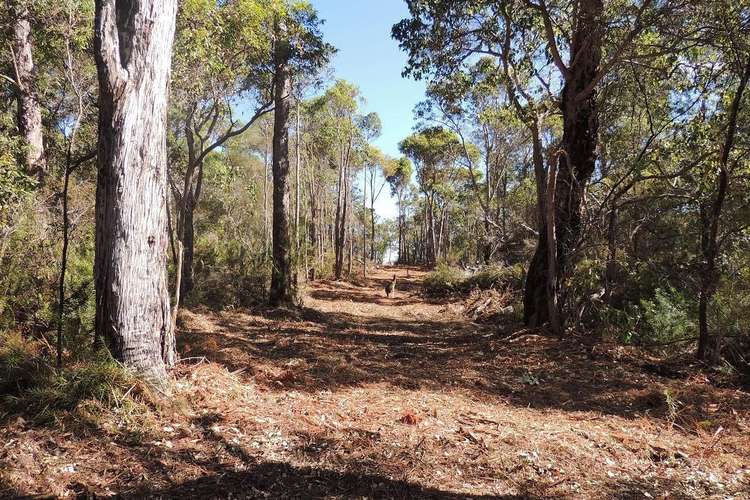 Second view of Homely residentialLand listing, Lot 56 Randall Road, Denmark WA 6333