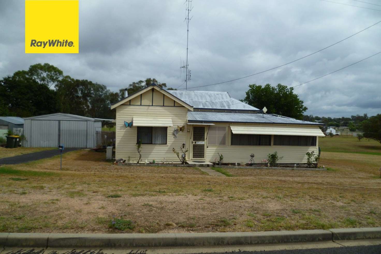 Main view of Homely house listing, 17 Bukkulla Street, Ashford NSW 2361