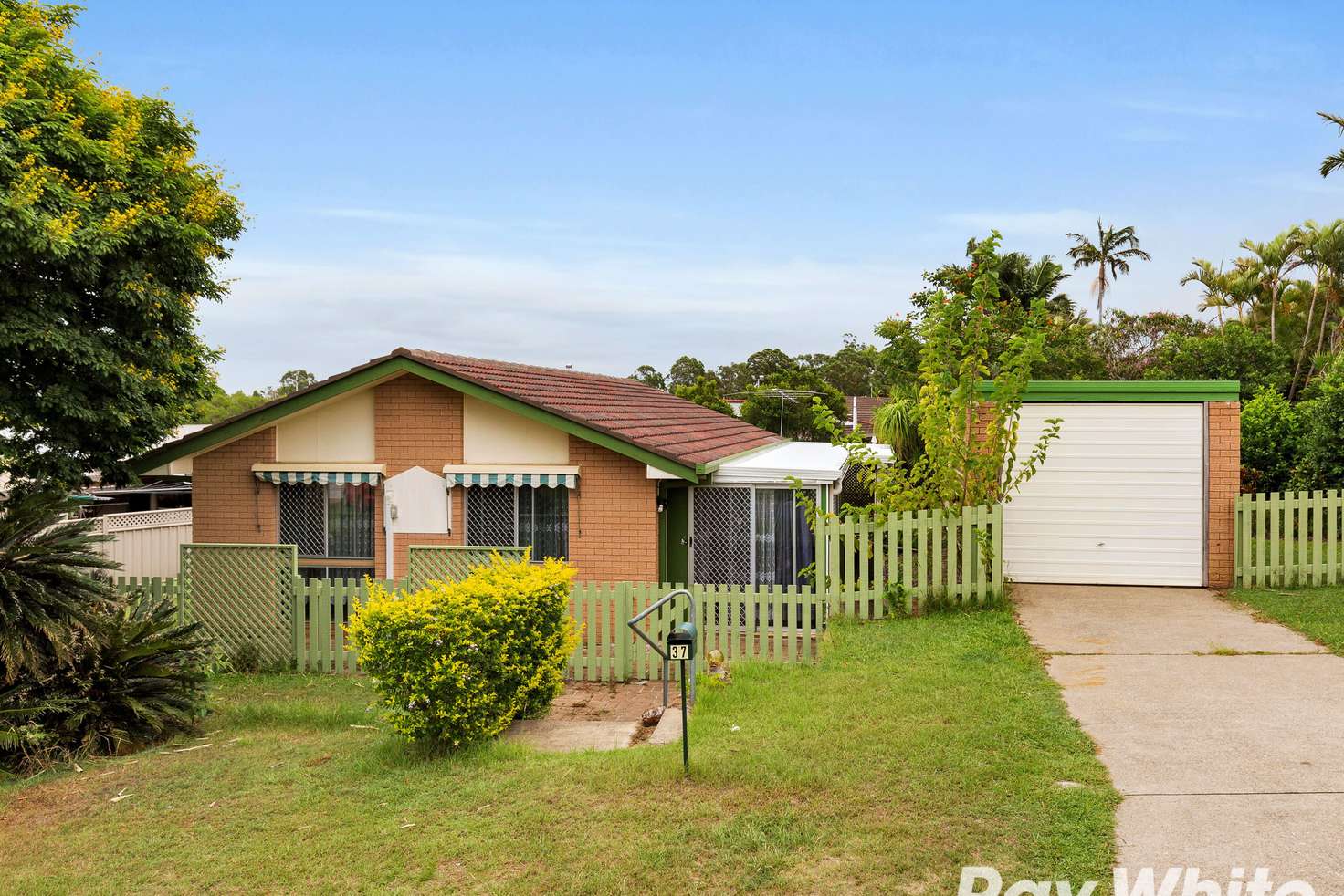 Main view of Homely house listing, 37 Macaranga Street, Algester QLD 4115