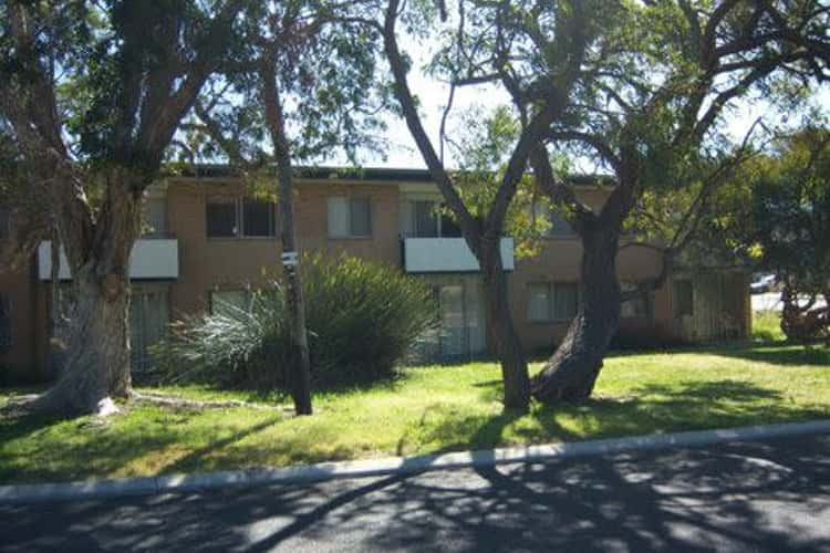 Main view of Homely unit listing, 14/20 Blythe Avenue, Yokine WA 6060