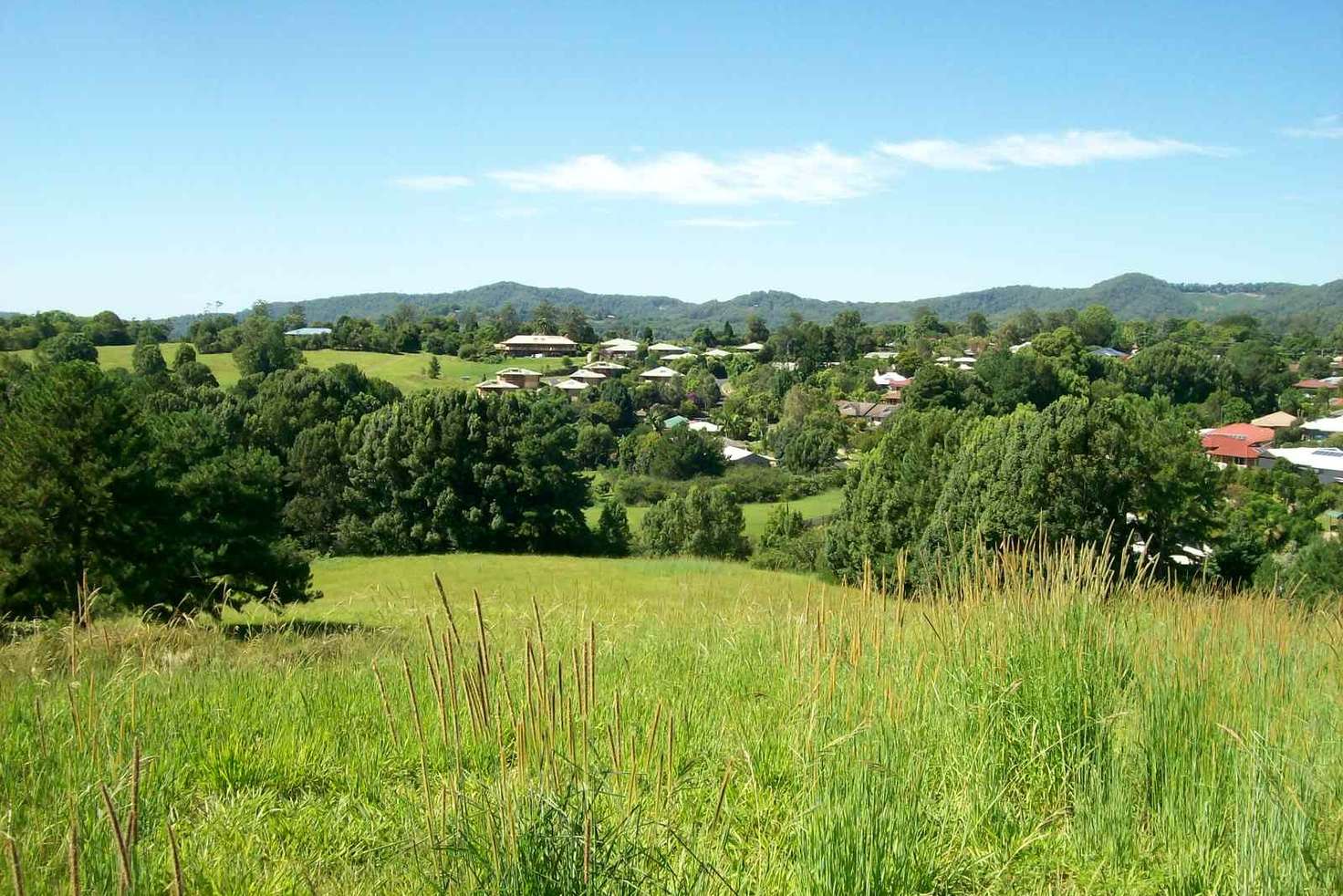 Main view of Homely residentialLand listing, 16 Ironbark Place, Bellingen NSW 2454