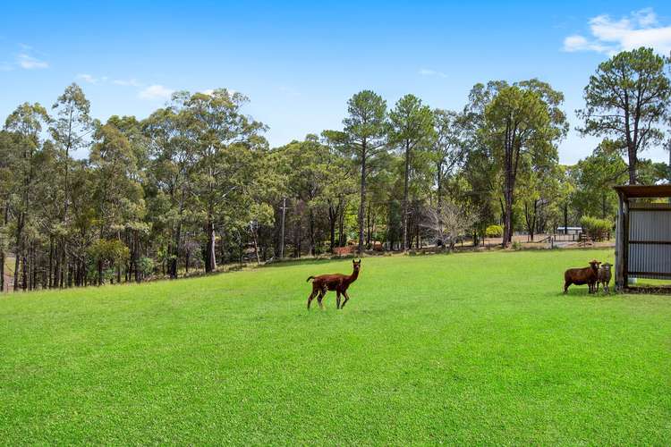 Fifth view of Homely house listing, 40 Kentoleen Road, Kurrajong NSW 2758