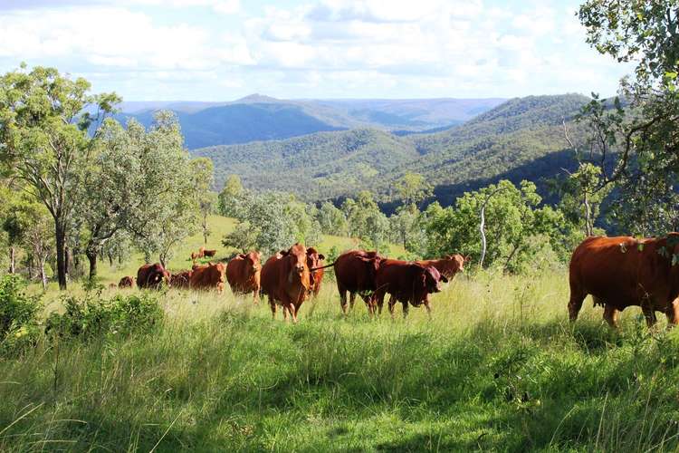 Third view of Homely ruralOther listing, Lot 1 Wells Station Road, Biarra QLD 4313