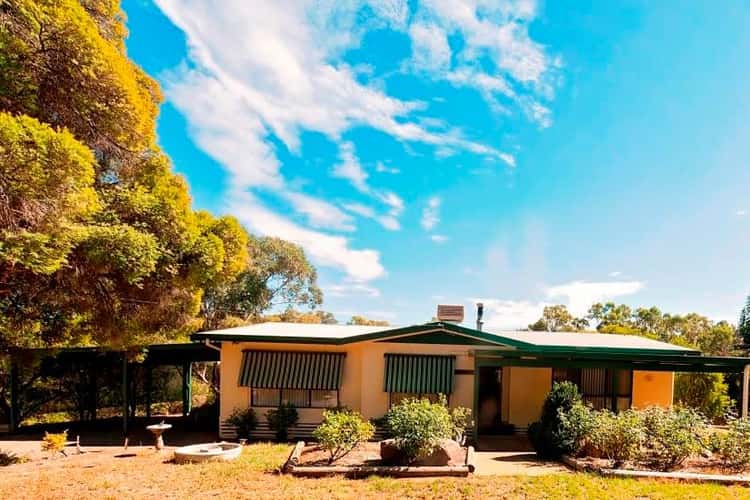 Main view of Homely house listing, 10 Rinkin Street, Cootamundra NSW 2590